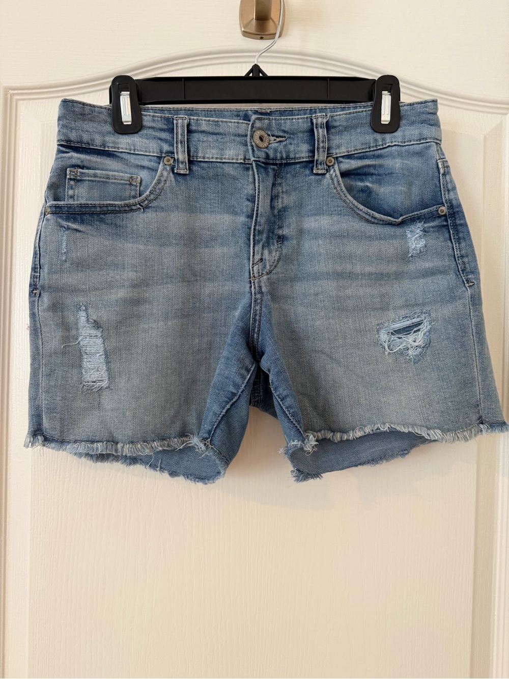 Style & Co. Light Blue Distressed Denim Jean Shorts